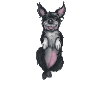 Adote Sticker by GARRA