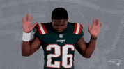 Sony Michel Reaction GIF by New England Patriots