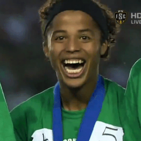 tottenham hotspur GIF