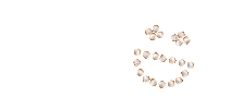 Happy Joy Sticker by Chopard