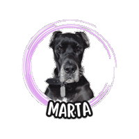 Marta Danese Sticker by Asilo per cani Dog'sMind