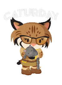 Cat Sticker by AppExchange