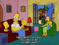 homer simpson episode 3 GIF