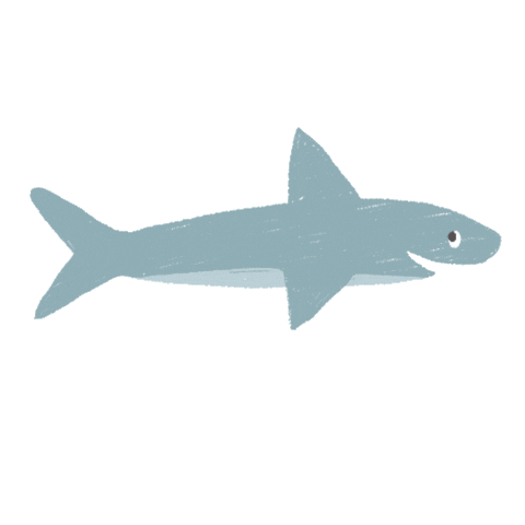 Shark Sticker by Little Planet