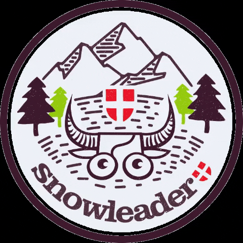 Snowleader-de-la-yaute giphygifmaker adventure ski montagne GIF