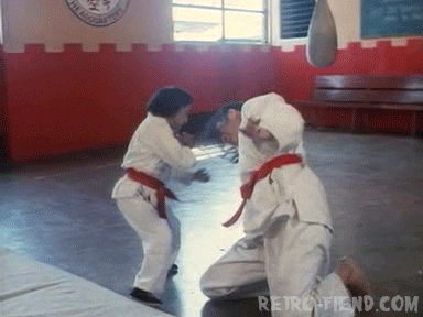 martial arts film GIF by RETRO-FIEND