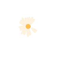 Flores Sticker