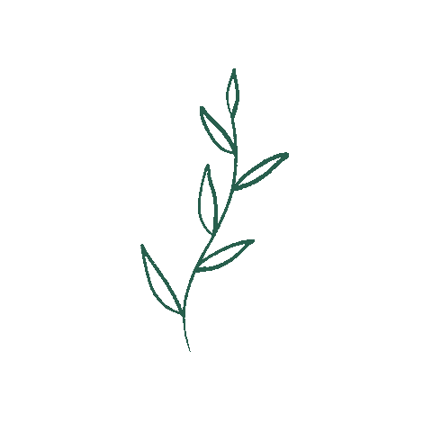 Cassievoncat nature green plant simple Sticker