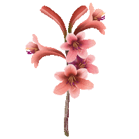 Flower Spring Sticker by Jenn Arregocés