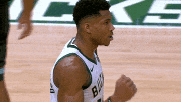 happy milwaukee bucks GIF by NBA