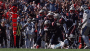 Football Celebration GIF by New England Patriots