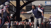 High Five Mike Vrabel GIF by New England Patriots