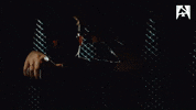 Counter Strike Esports GIF by BLAST