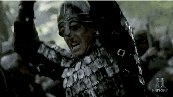 tv show GIF by Vikings on HISTORY