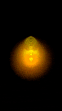 Render Digital Art GIF by time