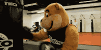 Big Ten Boxing GIF by Goldy the Gopher - University of Minnesota