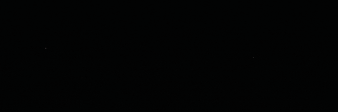 HOLLYLASH giphyupload GIF