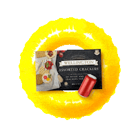 Fun Summer Sticker by Wellington Crackers