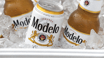 Modelo Beer GIF by Modelo USA