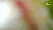 National Geographic Bug GIF by Nat Geo Wild