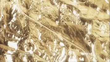 thirtysecondstomars 30 seconds to mars this is war GIF
