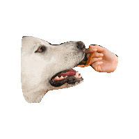 Treat Sweetpotato Sticker by OvenBakedTradition