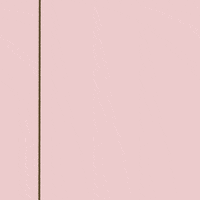 Cat GIF