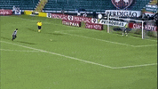 GIF by Botafogo