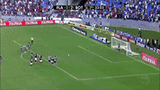 GIF by Botafogo