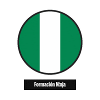 Flag Bandera Sticker by Formación Ninja