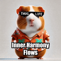 Peace Wisdom GIF by Guinea Gambino