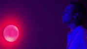 want you back GIF