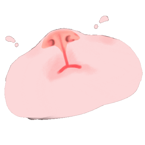 Cat Kiss Sticker