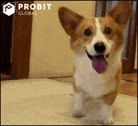 Dance Love GIF by ProBit Global