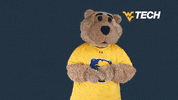 West Virginia College GIF by WVU Tech Golden Bears