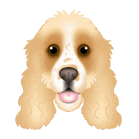 Cocker Spaniel Sticker by zoopeez