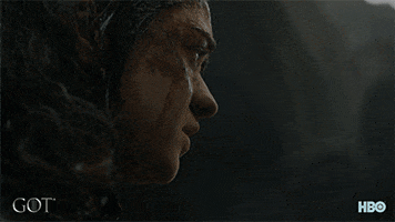 season 8 arya GIF by Game of Thrones