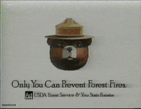 smokey the bear 90s GIF