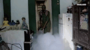 viceland GIF by Motherboard