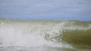 Lpb20 GIF by La Playa Blanca