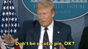 Donald Trump GIF by GIPHY News