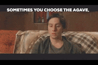 siptequila tequila mezcal agave garden state GIF