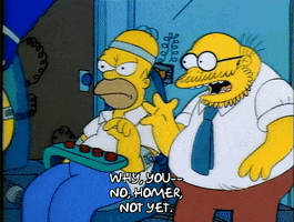 Season 1 GIF by The Simpsons