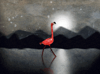 Kurt Cobain Flamingo GIF by Kaybid