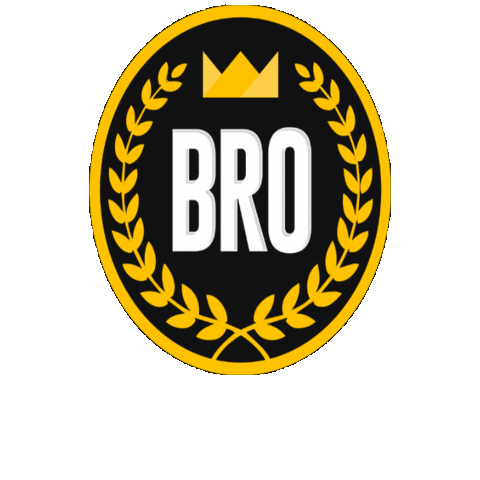Epic-Fail giphygifmaker bro Sticker