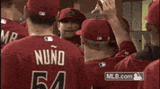 382613 GIF by MLB