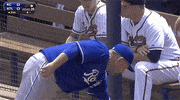 mlb GIF by SB Nation