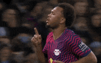 Champions League Football GIF by UEFA