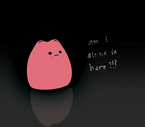 Cat Love GIF