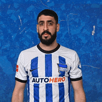 Sport Bundesliga GIF by Hertha BSC